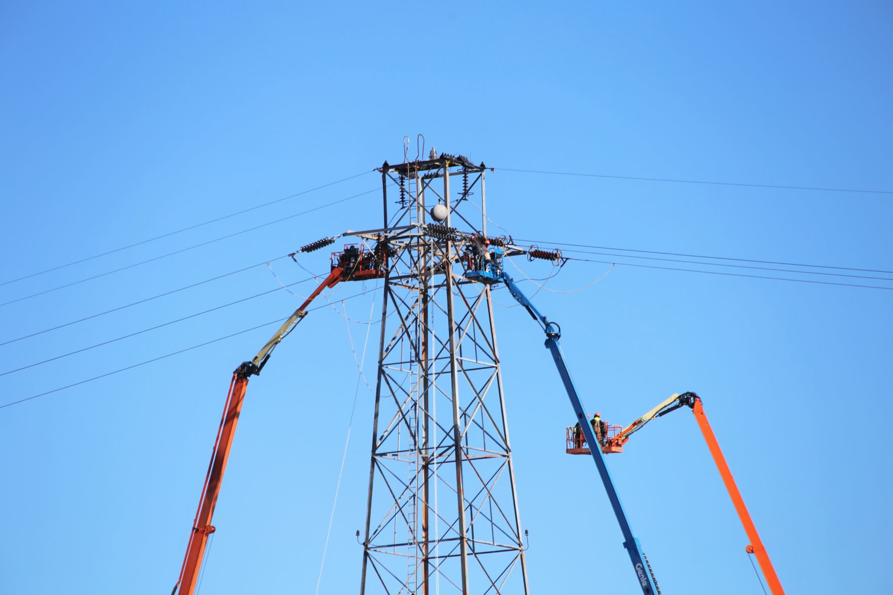 Osprey nest relocation